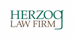 herzog logo for website